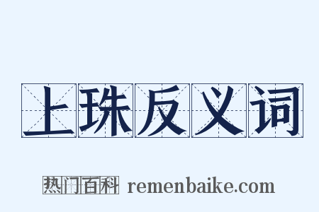 上珠反义词是什么意思的图片